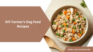DIY Farmer’s Dog Food Recipes