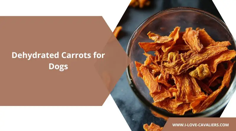 Dehydrated Carrots for Dogs