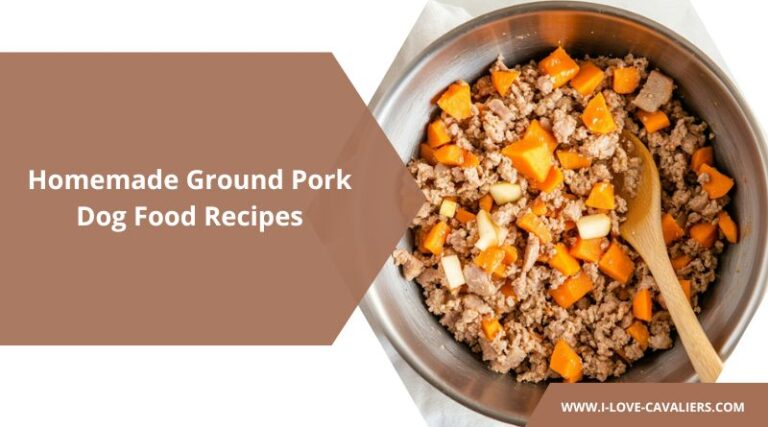 Easy Homemade Ground Pork Dog Food Recipes