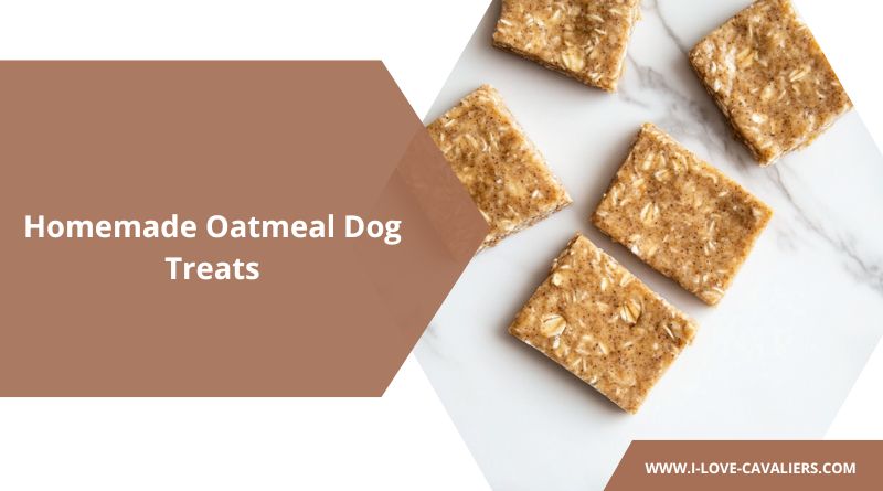 Homemade Oatmeal Dog Treats