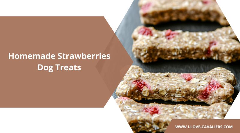 Homemade Strawberries Dog Treats
