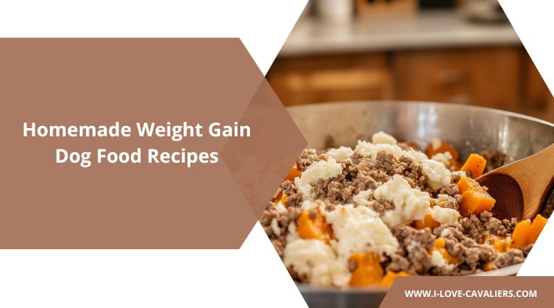 Homemade Weight Gain Dog Food Recipes