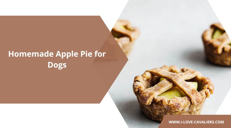 apple pie for dogs