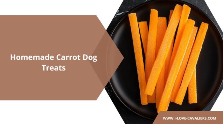 Concord Grape And Carrot Dog Treats preview