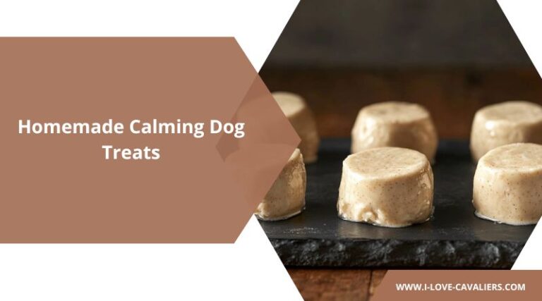 Calming Dog Treats for Anxiety: 4 Soothing Recipes to Help Your Pup Relax