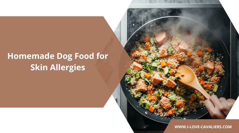 Dog Food for Skin Allergies