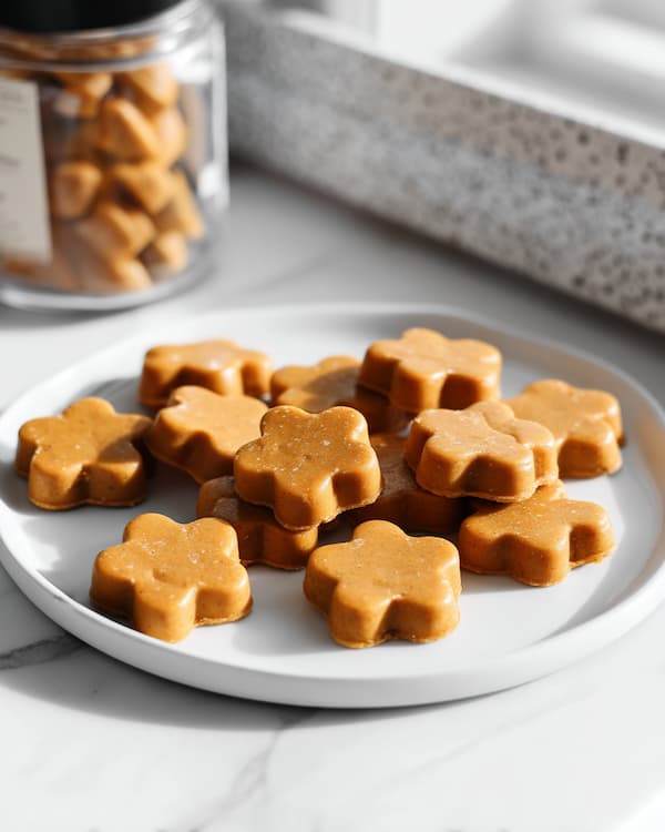 Frozen Peanut Butter Pumpkin Dog Treats