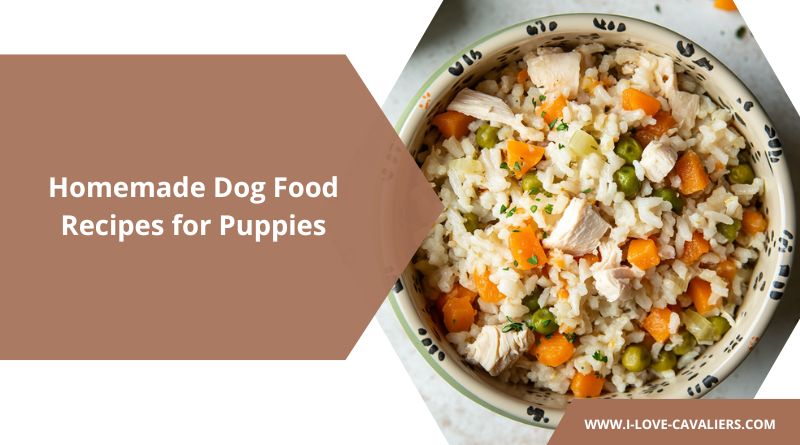 Homemade Dog Food Recipes for Puppies