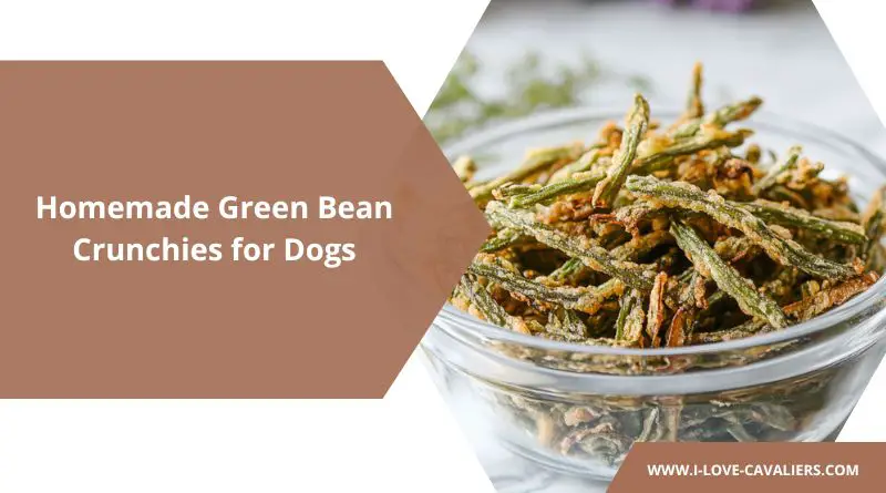 Homemade Green Bean Crunchies for Dogs