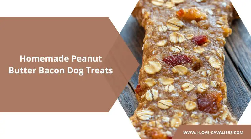 Homemade Peanut Butter Bacon Dog Treats