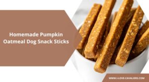 Homemade Pumpkin Oatmeal Dog Snack Sticks