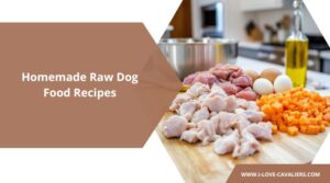 Homemade Raw Dog Food