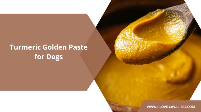 Turmeric Golden Paste for Dogs