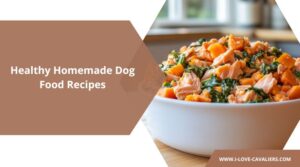homemade Dog Food Recipes