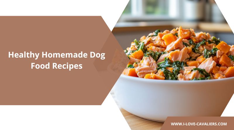 homemade Dog Food Recipes