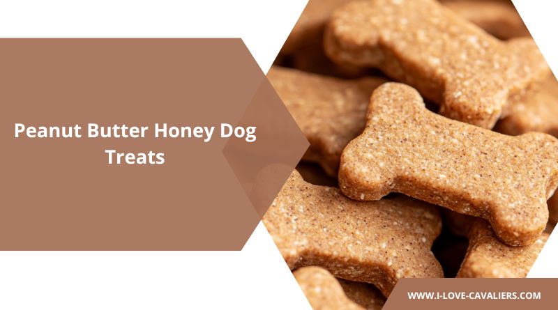 peanut butter honey dog treats