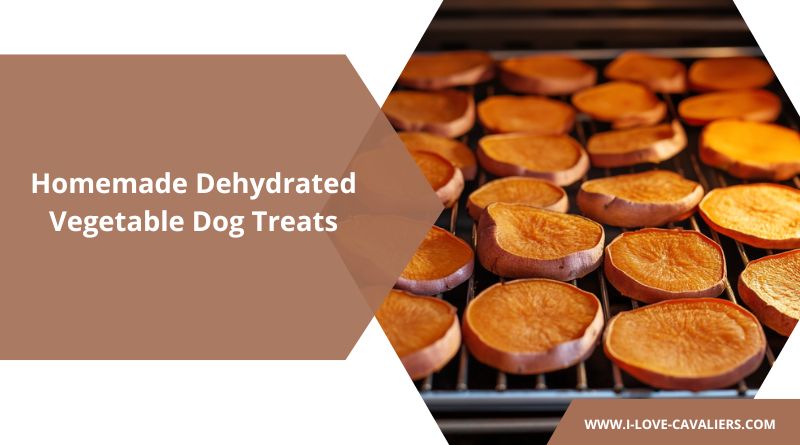 Dehydrated Vegetable Dog Treats