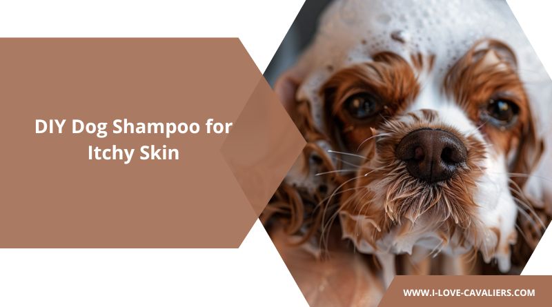 DIY Dog Shampoo for Itchy Skin