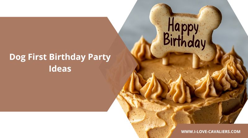 Dog First Birthday Party Ideas The Ultimate Guide