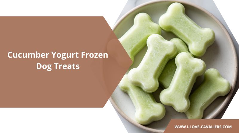 2-Ingredient Cucumber Yogurt Frozen Dog Treats