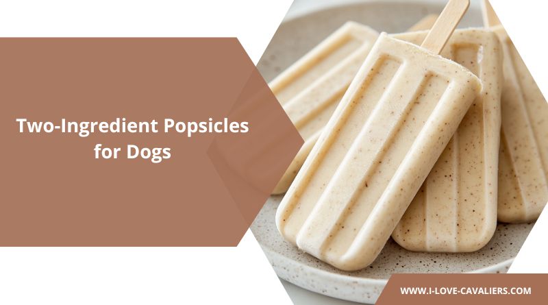 2-Ingredient Pupsicles