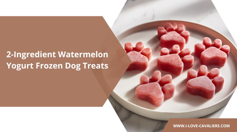 2-Ingredient Watermelon Yogurt Frozen Dog Treats