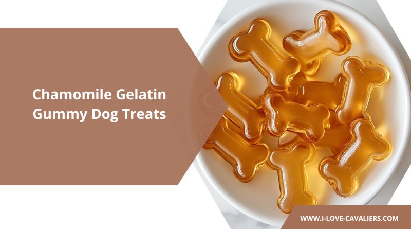 Calming Chamomile Gelatin Gummy Dog Treats