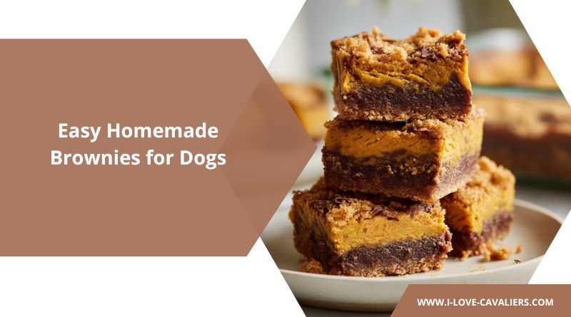 Easy Homemade Brownies for Dogs