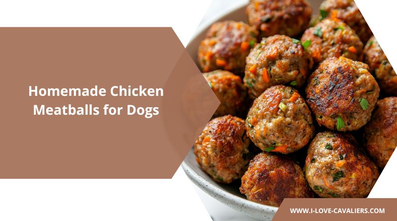 Homemade Ground Chicken Meatballs for Dogs