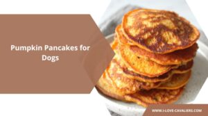 Pumpkin Dog Pancakes