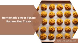 Sweet Potato Banana Dog Treats