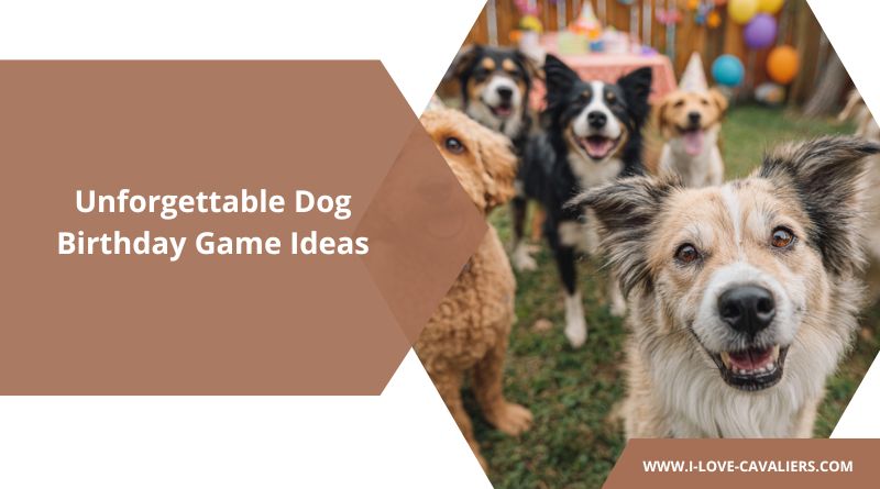 Unforgettable Dog Birthday Game Ideas