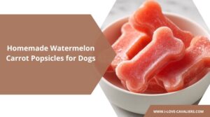 Watermelon Popsicles for Dogs