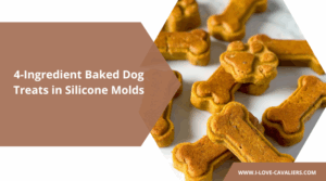 4-Ingredient Baked Dog Treats in Silicone Molds