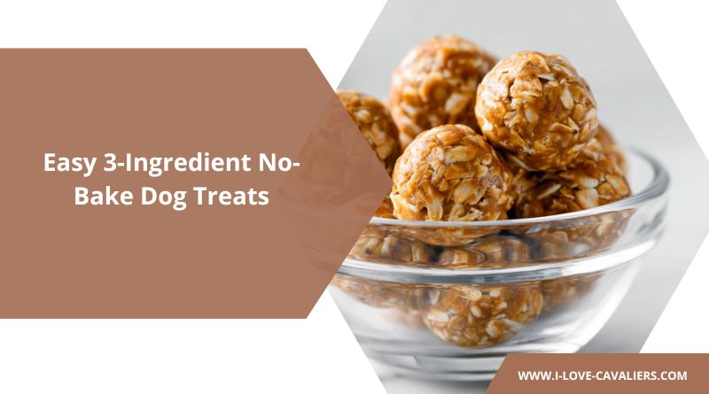 Easy 3-Ingredient No-Bake Dog Treats