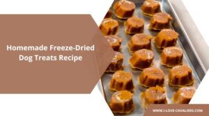 Freeze-Dried Dog Treats Recipe Long-Lasting Nutrition Your Dog Craves