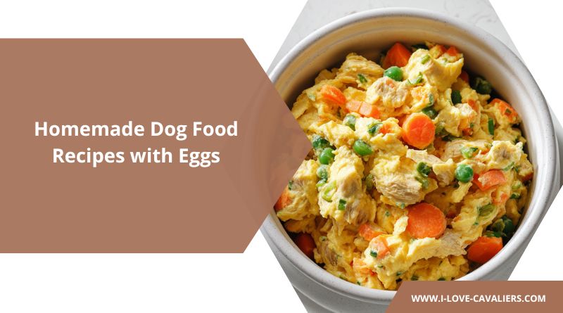 Homemade Dog Food Recipes with Eggs
