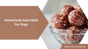 Homemade Satin Balls For Dogs