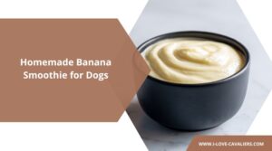 homemade banana smoothie for dogs