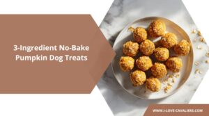 3-Ingredient No-Bake Pumpkin Dog Treats