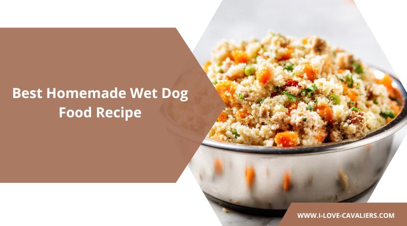 Best Homemade Wet Dog Food Recipe