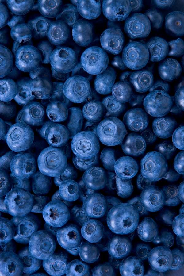 Blueberries – The Antioxidant Powerhouse