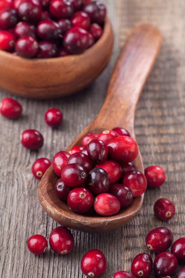  Cranberries – The Urinary Tract Supporter