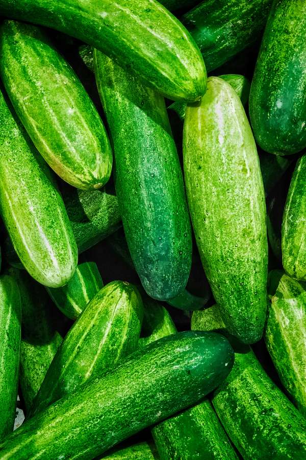 Cucumbers – The Low-Calorie Crunch