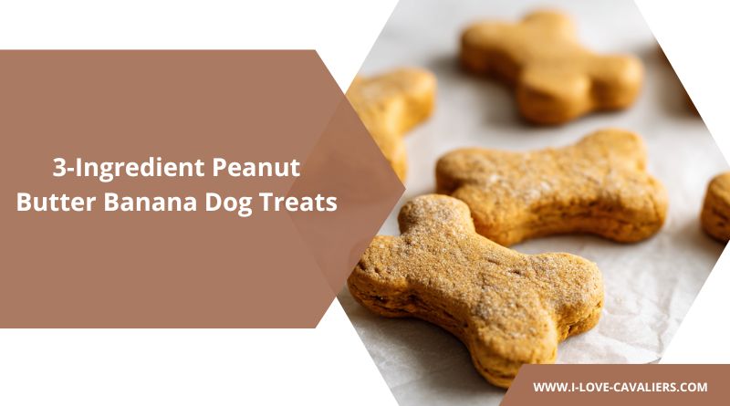 Easy Homemade 3-Ingredient Peanut Butter Banana Dog Treats