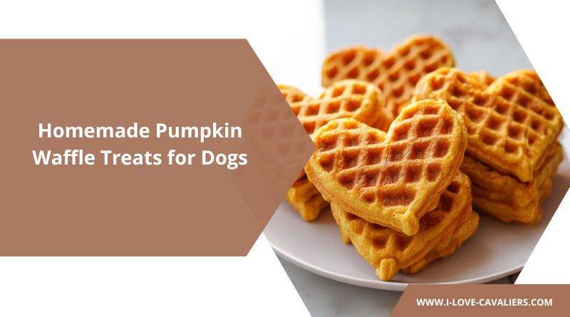 Homemade Pumpkin Waffle Treats for Dogs
