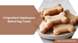 3-Ingredient Applesauce Baked Dog Treats