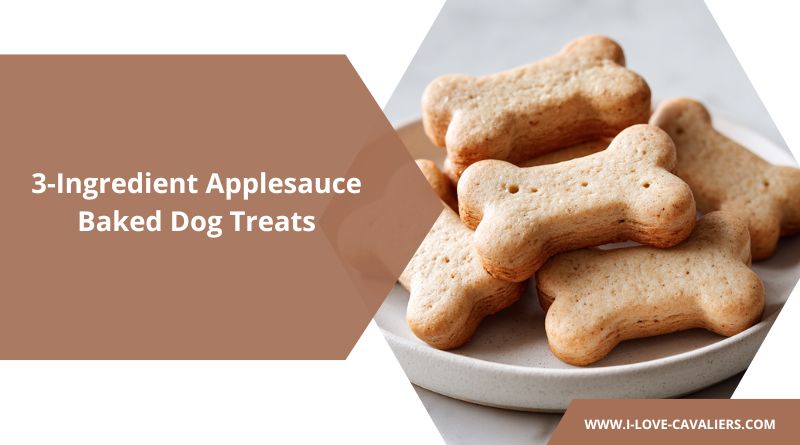 3-Ingredient Applesauce Baked Dog Treats