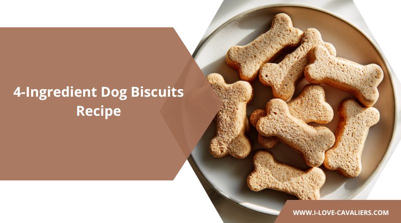4-Ingredient Banana Peanut Butter Dog Biscuits Recipe