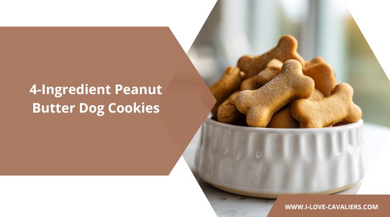 4-Ingredient Peanut Butter Dog Cookies